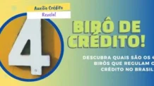 Quais são os 4 Birôs de Crédito Oficiais no Brasil?