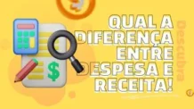 Qual é a diferença entre receita e despesa?