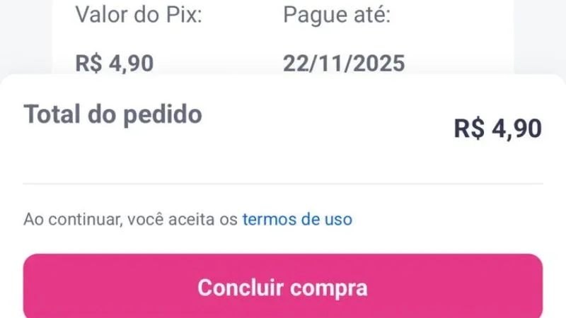 Pagamento do relatório completo para ver consultas ao CPF no Serasa por R$ 4,90