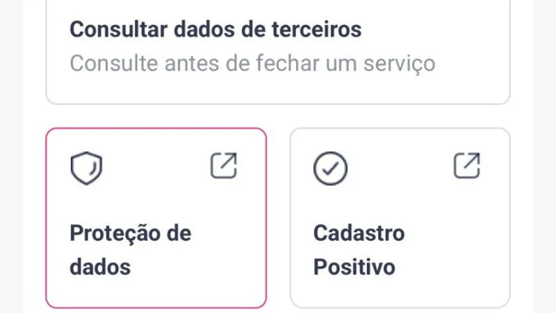 Tela do Serasa mostrando a opção Proteção de Dados, passo 4 para consultar quem fez consultas ao CPF de graça.