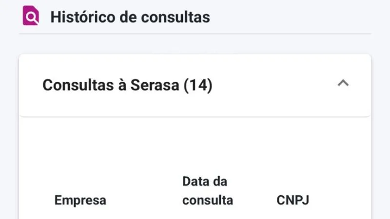 Histórico de consultas ao CPF no Serasa mostrando empresas, datas e CNPJ.